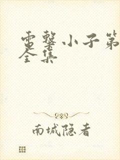 电击小子第二部全集