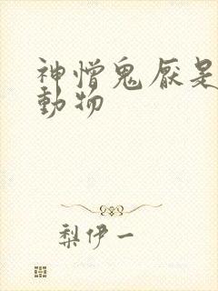 神憎鬼厌是什么动物