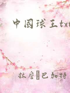 中国球王txt