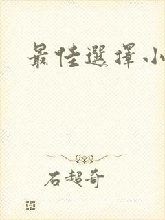 最佳选择小说