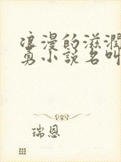 浪漫的滋润刘大勇小说名叫什么?