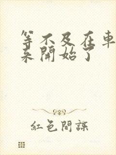 等不及在车里就来开始了