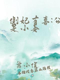 侧妃有喜:公主是小妾