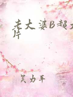 老大婆B超大图片