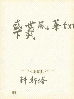 盛世风华txt下载