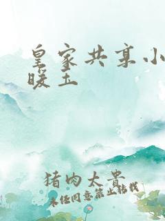 皇家共享小公主暖玉