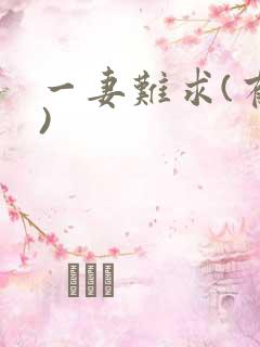 一妻难求(有肉)