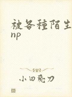 被各种陌生人 np