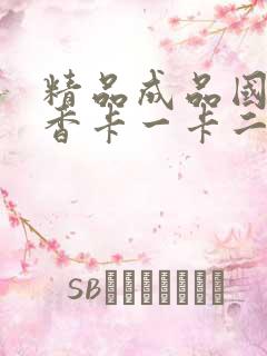 精品成品国色天香卡一卡二摄像头