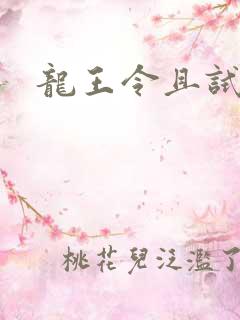 龙王令且试天下