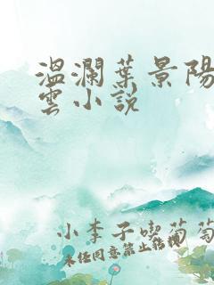 温澜叶景阳温云云小说