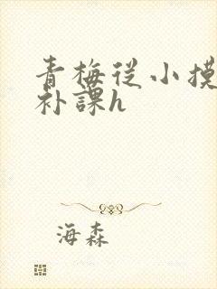 青梅从小摸到大补课h