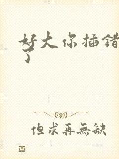 好大你插错地方了