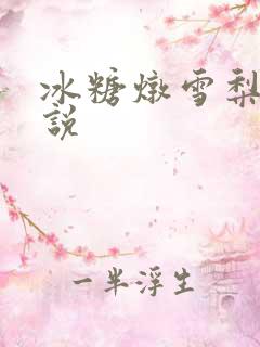 冰糖炖雪梨 小说