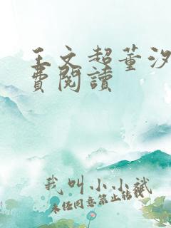 王文超董汐瑜免费阅读