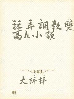 玩弄调教双胞胎高h小说