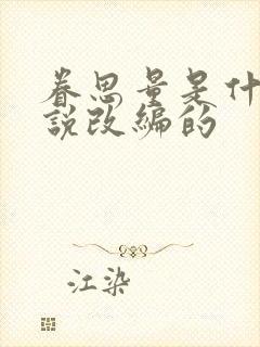 眷思量是什么小说改编的