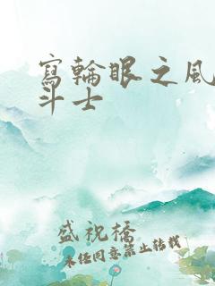 写轮眼之风流圣斗士
