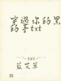 穿过你的黑发我的手txt