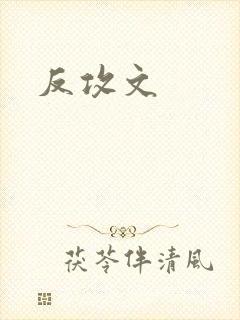 反攻文
