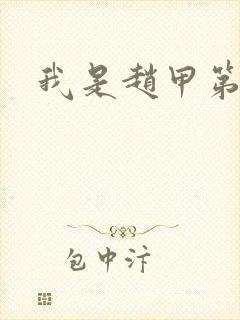 我是赵甲第小说