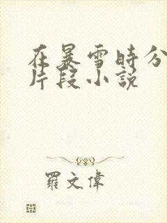 在暴雪时分高能片段小说