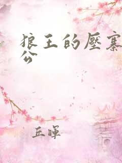 狼王的压寨小相公