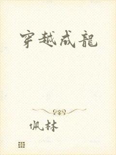 穿越成龙