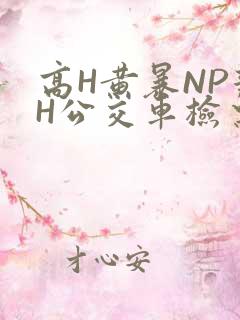 高H黄暴NP辣H公交车检票员