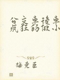 公交车后车座的疯狂的做小