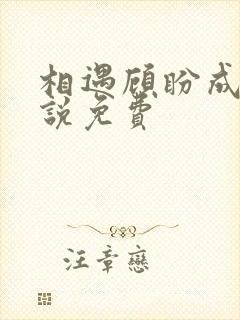 相遇顾盼成欢小说免费