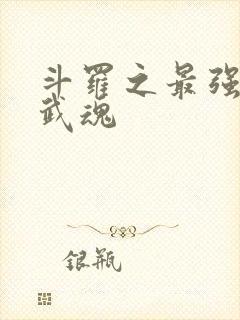 斗罗之最强治疗武魂