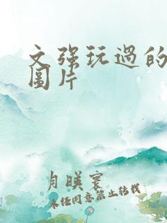 文强玩过的女人图片