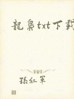 龙枭txt下载