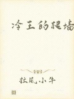 冷王的爬墙丑妃