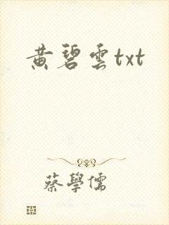 黄碧云txt