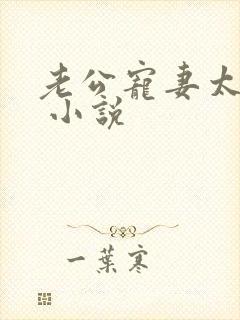 老公宠妻太甜蜜 小说