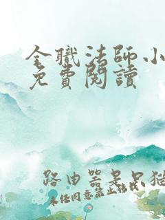 全职法师小说 免费阅读