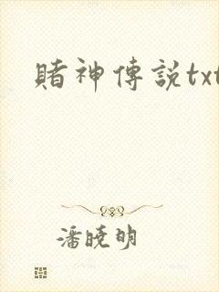 赌神传说txt