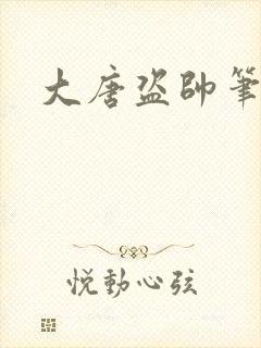 大唐盗帅笔趣阁