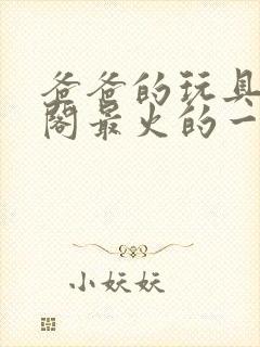 爸爸的玩具笔趣阁最火的一句