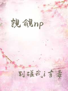 觊觎np