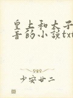 皇上和太子妃沈音的小说txt