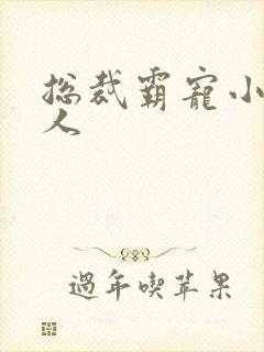 总裁霸宠小小女人