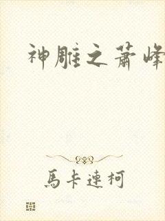 神雕之萧峰后人