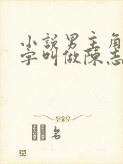 小说男主角的名字叫做陈志远