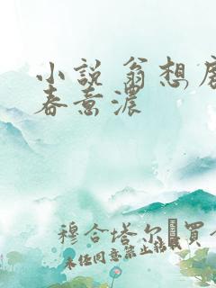 小说 翁想房中春意浓