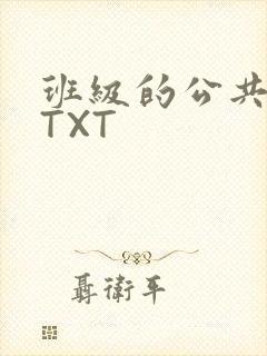 班级的公共玩具TXT