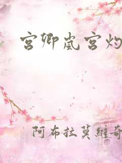 宫卿岚宫灼小说