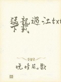 猛龙过江txt下载